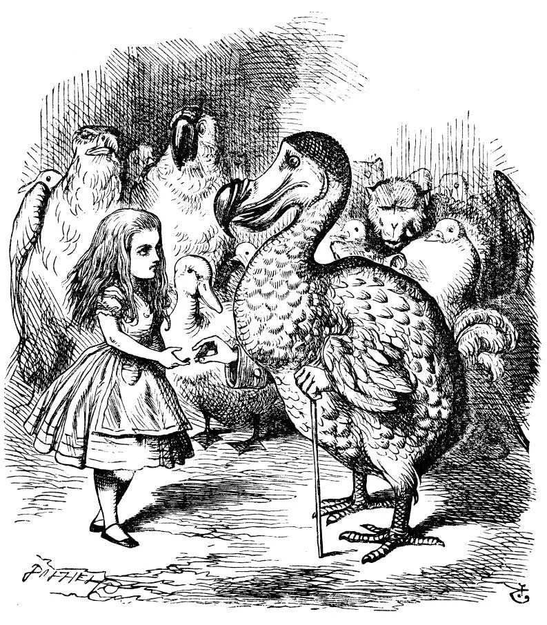 Dodo-presenting-thimble