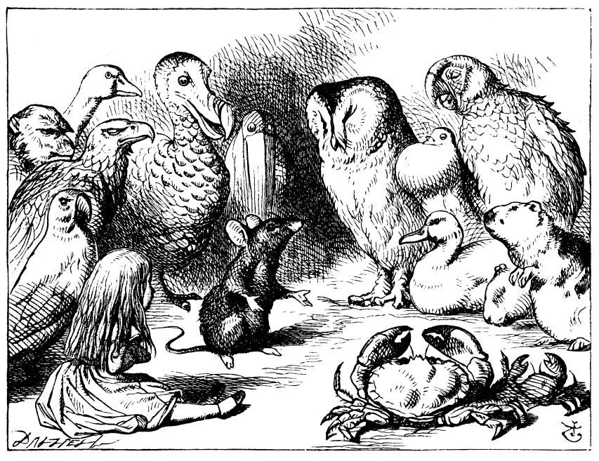 Mouse-telling-story-to-birds-and-Alice
