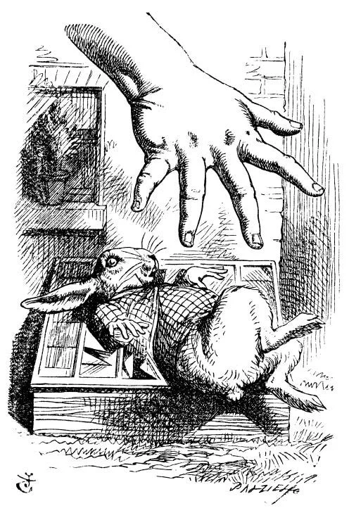 Alices-hand-grabbing-at-Rabbit