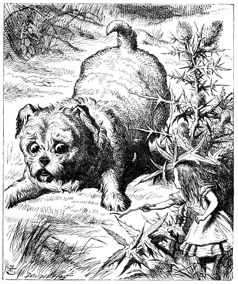 Dog-looking-at-tiny-Alice