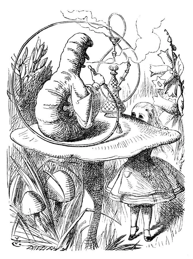Alice-meets-the-Caterpillar