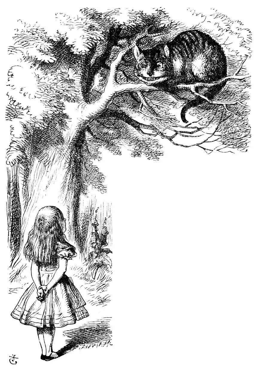 Alice-speaks-to-Cheshire-Cat