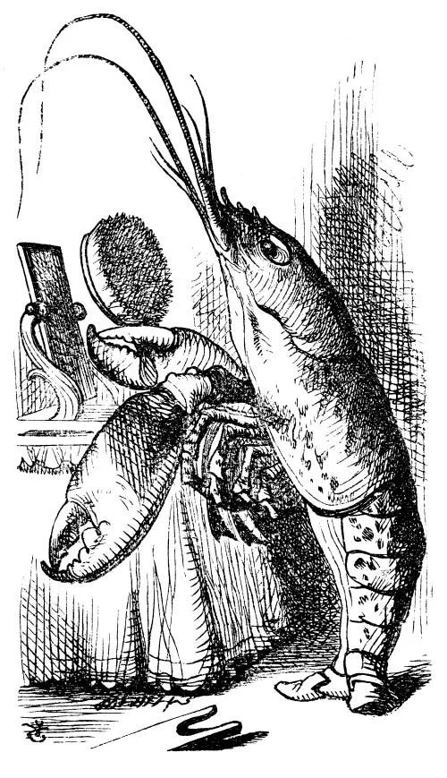 Lobster-primping-before-a-mirror