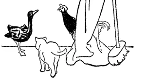 Bây giờ mình sẽ có trứng Vịt rồi.