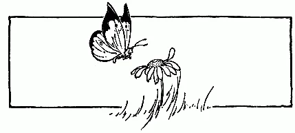 THE BUTTERFLY