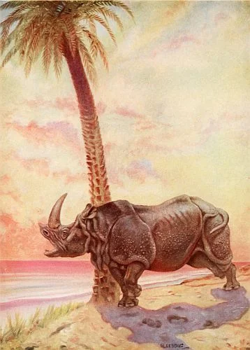 How the Rhinoceros Got His Skin