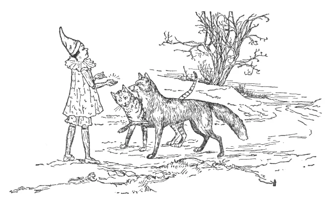 Pinocchio Gặp gỡ Cáo và Mèo
