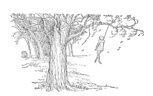 Chúng treo cổ Pinocchio lên Cây Sồi Lớn