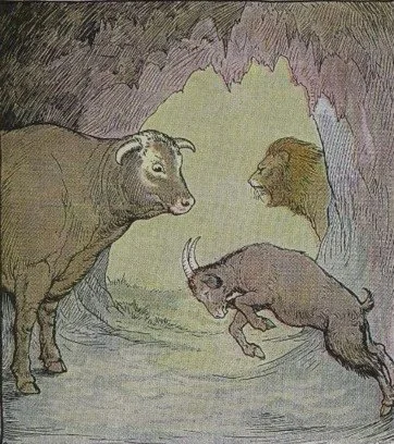 BÒ VÀ DÊ
