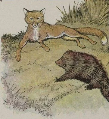 CÁO VÀ NHÍM