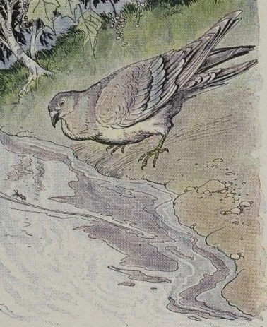 KIẾN VÀ CHIM BỒ CÂU