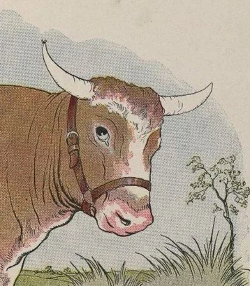 CON MUỖI VÀ CON BÒ