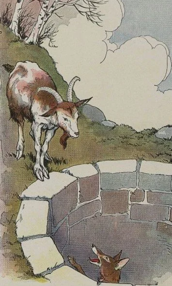 CÁO VÀ DÊ