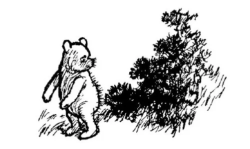 Trong hình minh họa này, ta thấy Pooh đầy gai đang nhìn chằm chằm vào bụi kim tước.