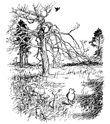 Hình ảnh Pooh thong thả dạo bước qua bãi cỏ, lướt ngang một gốc cây vặn vẹo, mắt dõi theo chú chim nhỏ đang bay lượn trên cao.